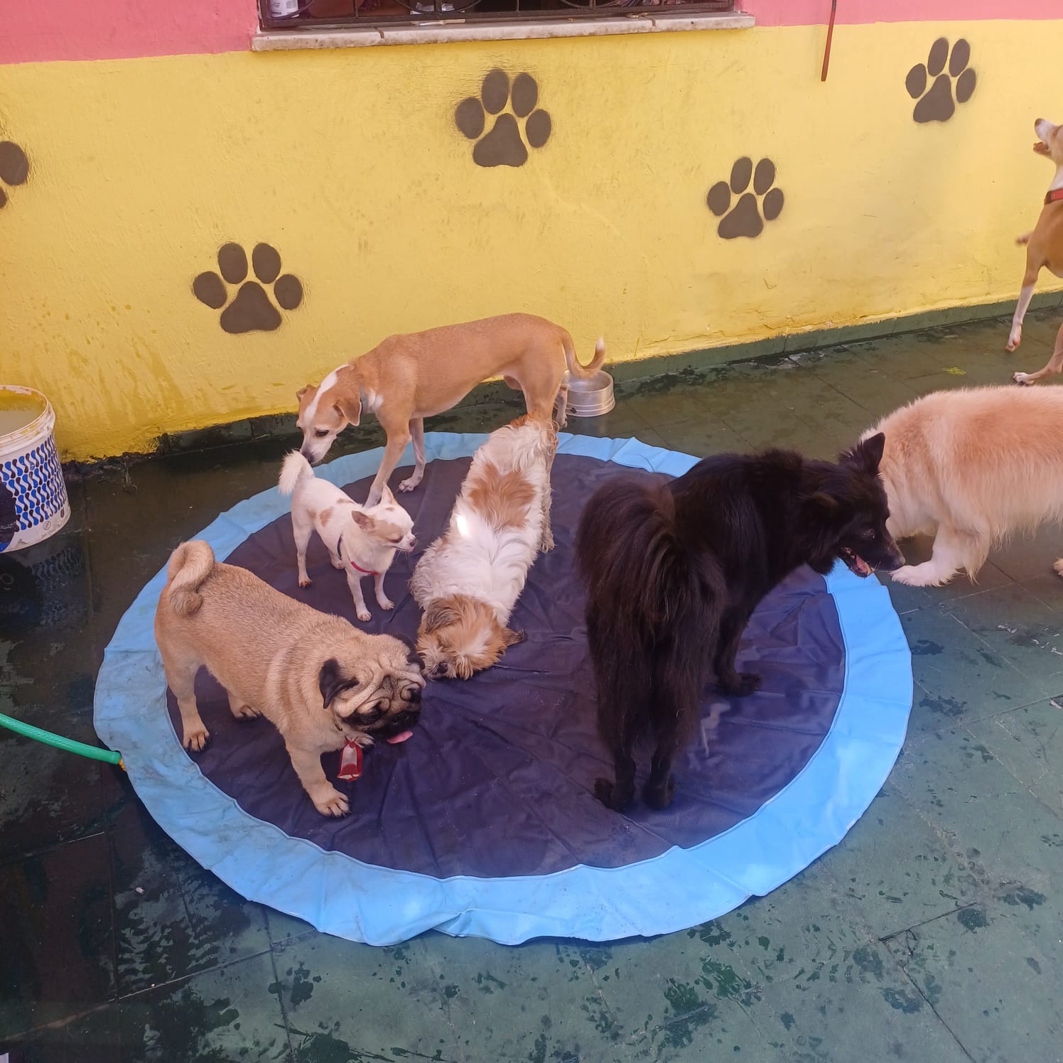 Momento da creche