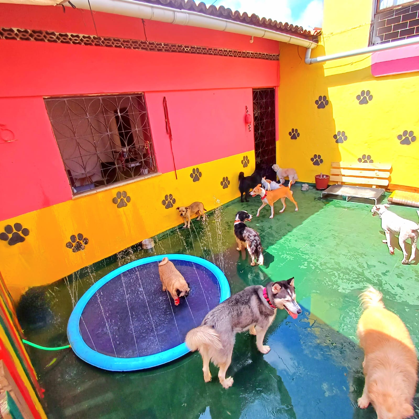 Quintal amplo e colorido da creche